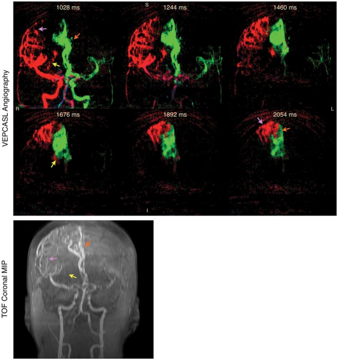 Figure 10.