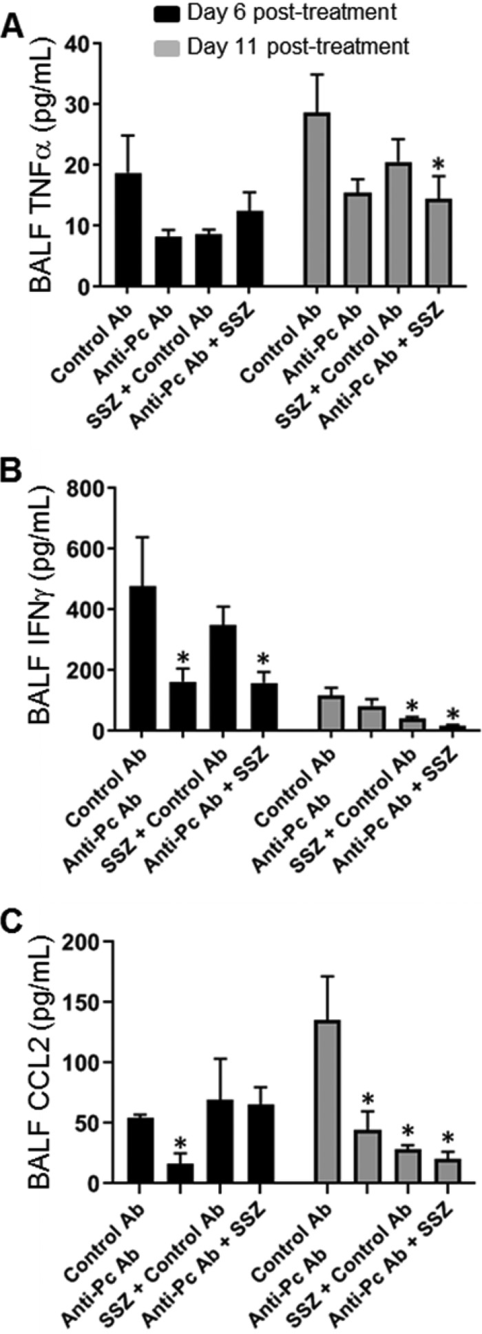 FIG 4