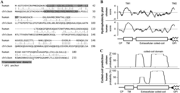 FIG 1