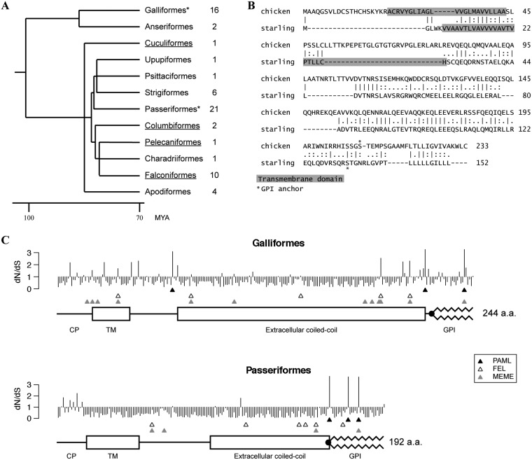 FIG 6