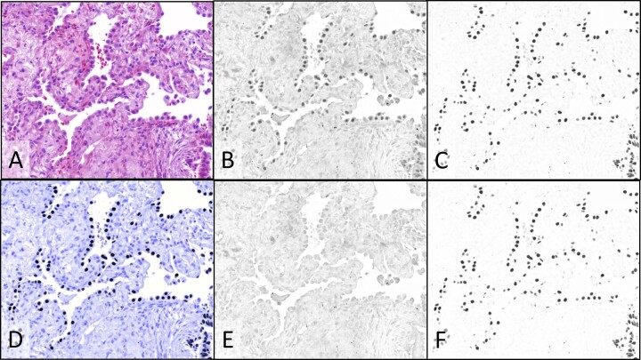 Fig. 7