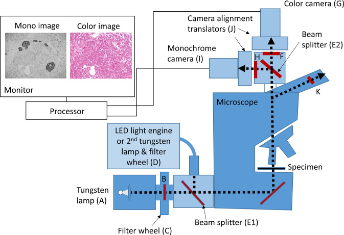 Fig. 2