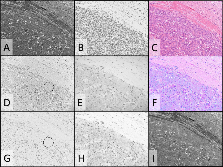 Fig. 6