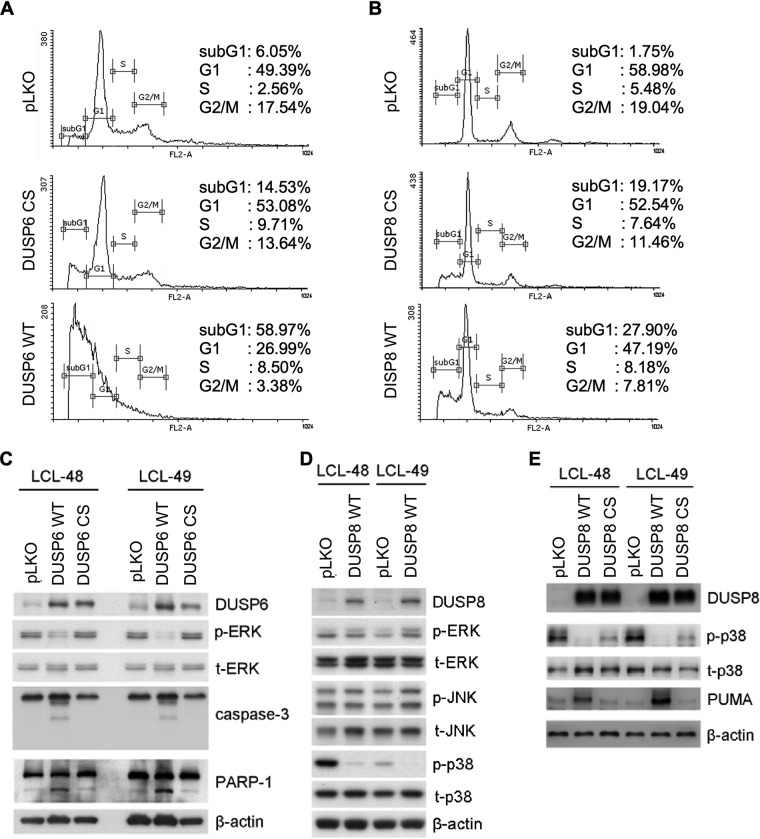 FIG 6