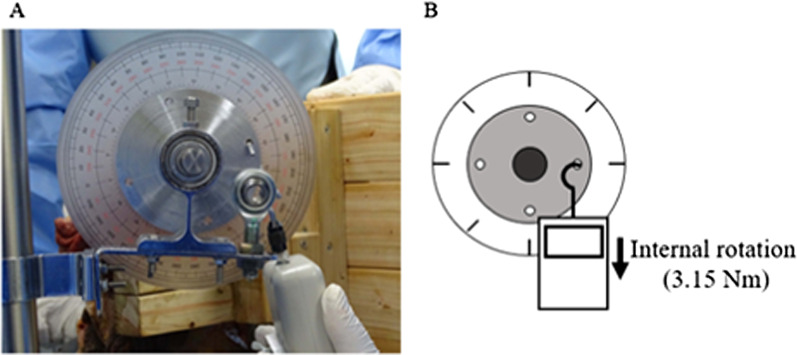 Fig. 2