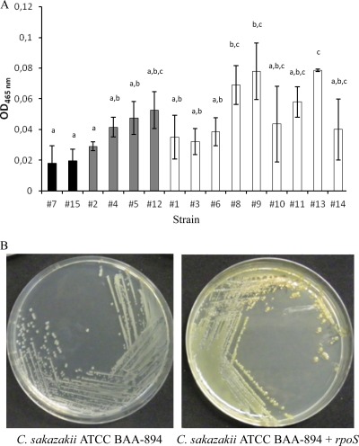 Fig 6