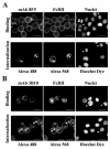 FIG. 4.