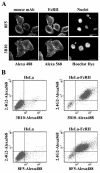 FIG. 2.
