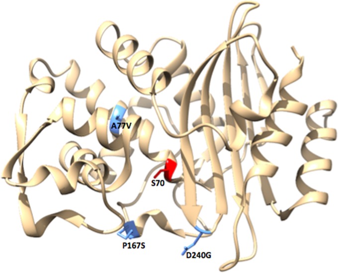 FIG 1