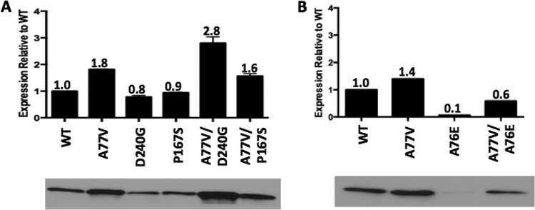 FIG 3