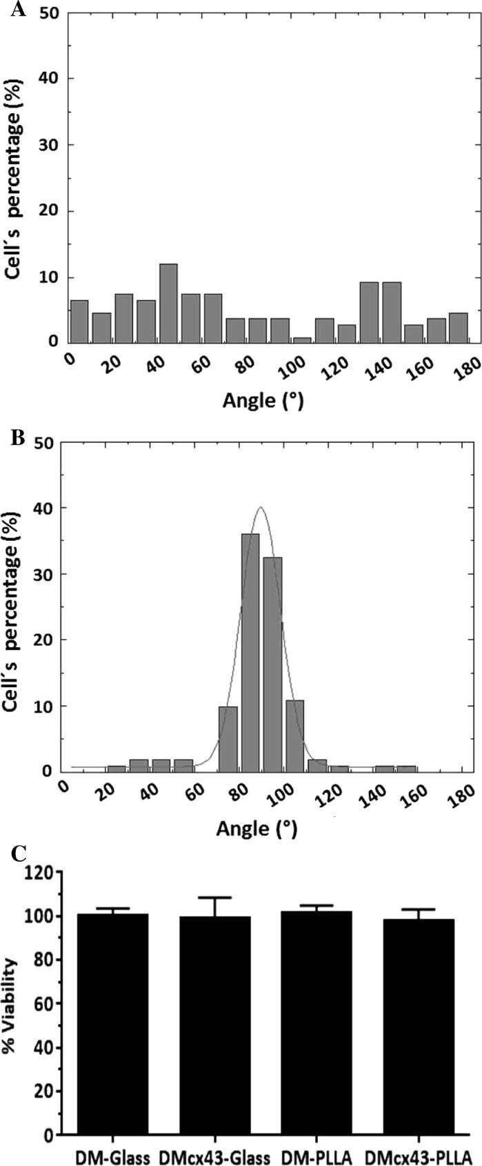 Fig. 6