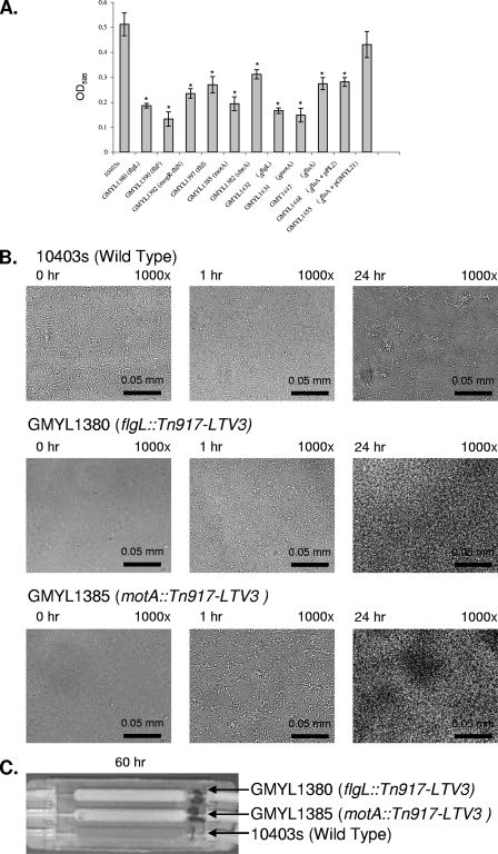 FIG. 2.