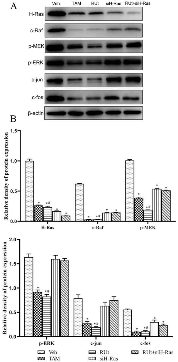 Figure 12.