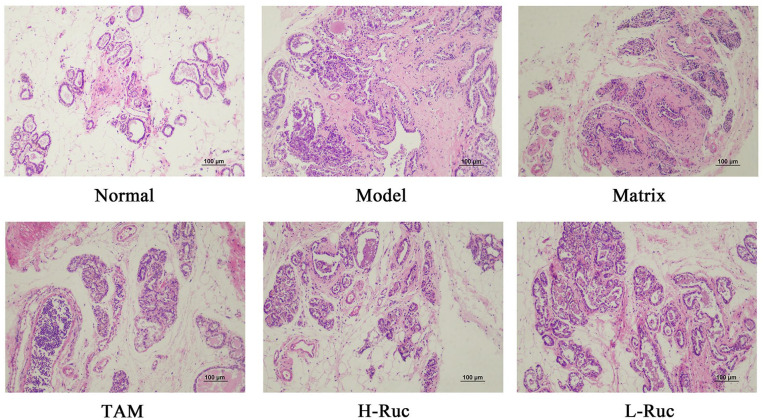 Figure 14.