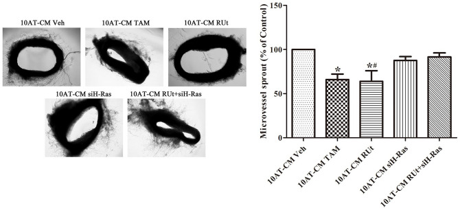 Figure 10.