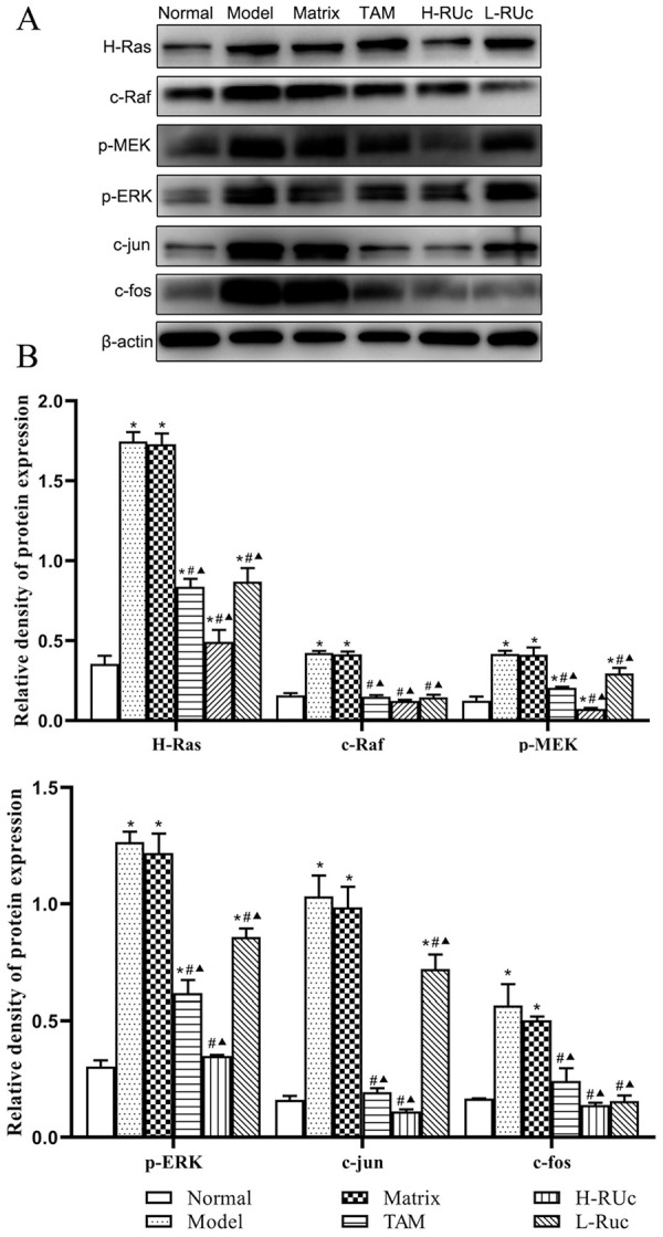 Figure 16.