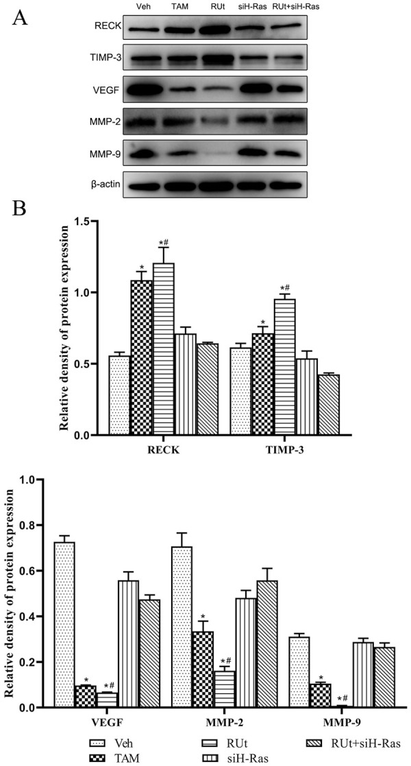 Figure 13.