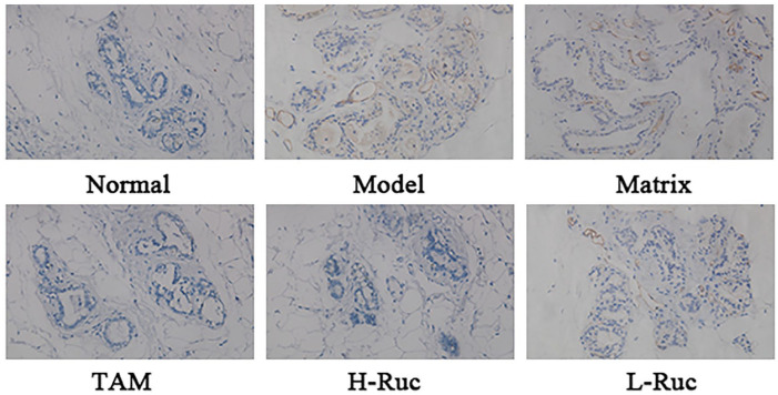 Figure 15.