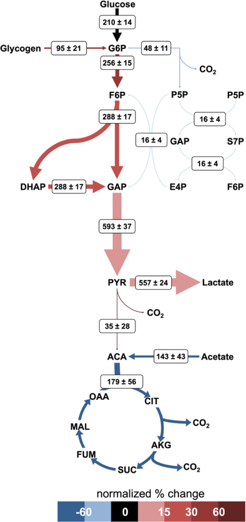 Figure 7.