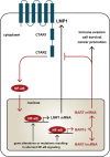 FIG 8