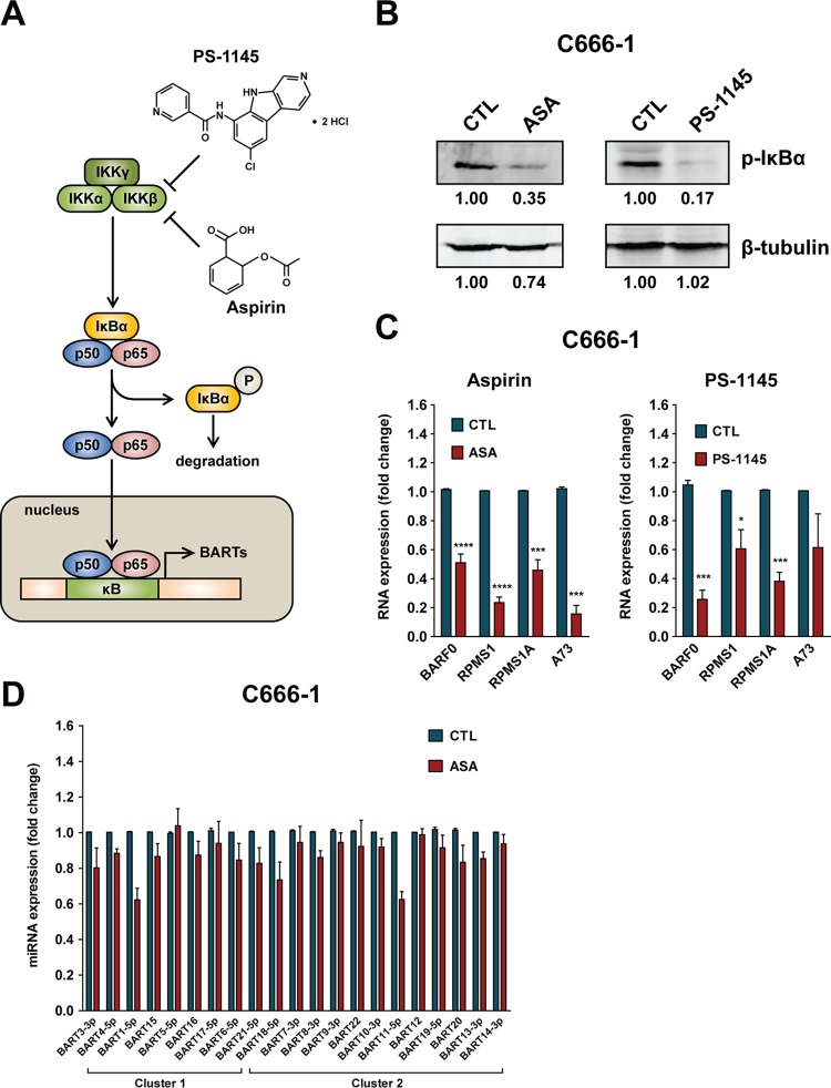 FIG 6