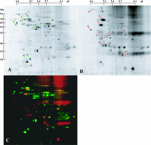 Figure 3.