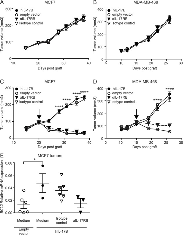 The IL-17B-IL-17 receptor B pathway promotes resistance to paclitaxel ...