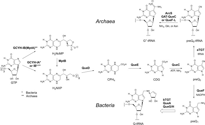 FIG 1