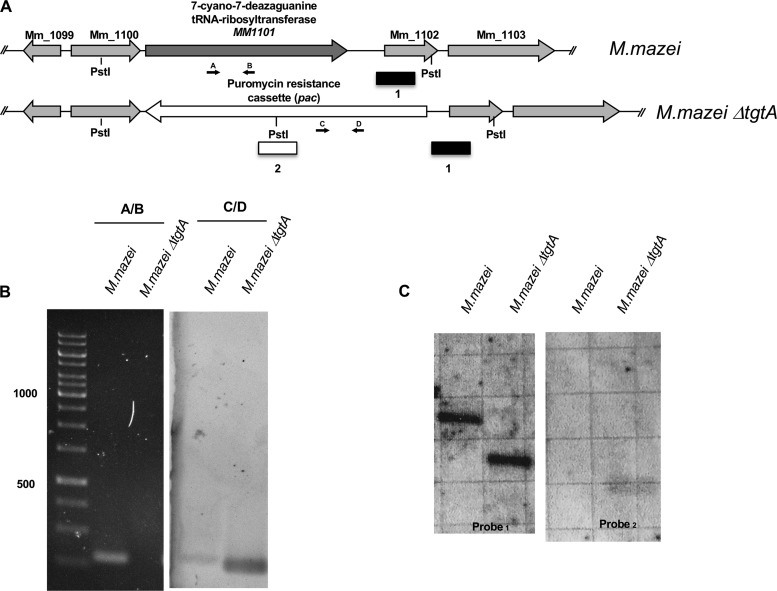 FIG 3