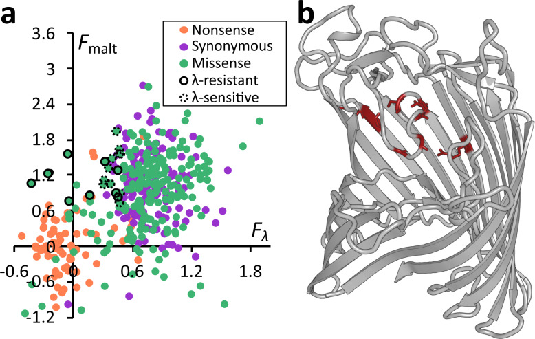 Fig. 4.