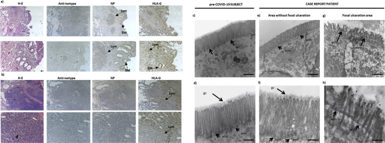 Fig. 1