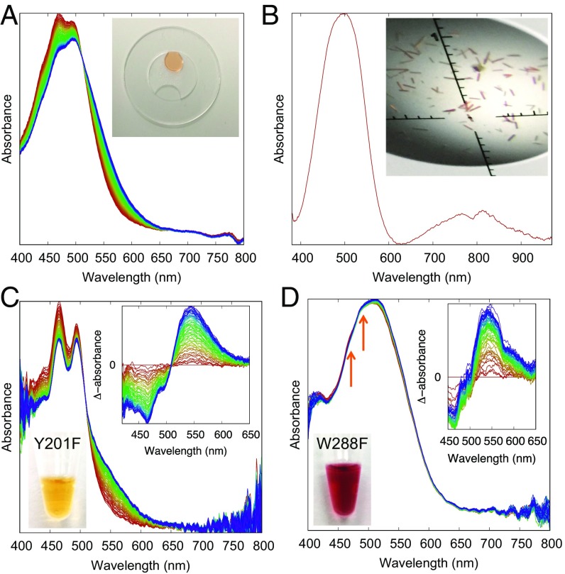 Fig. 3.