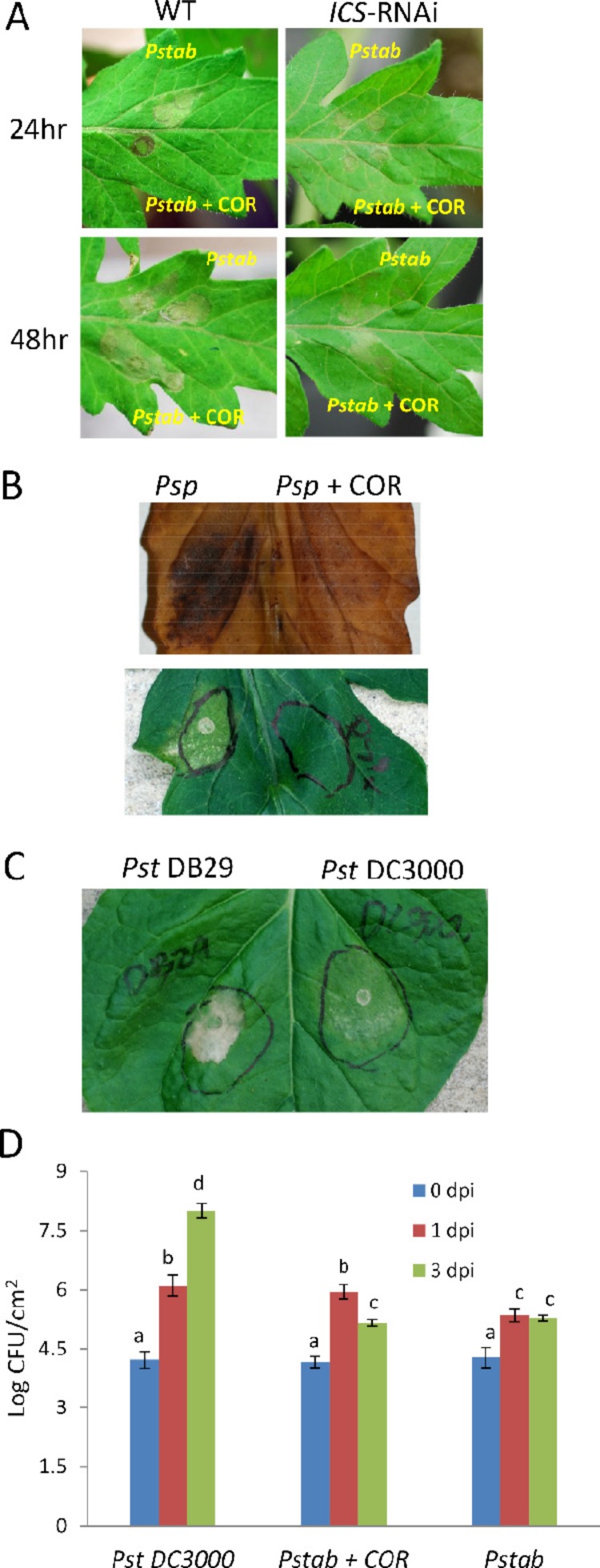 Figure 2