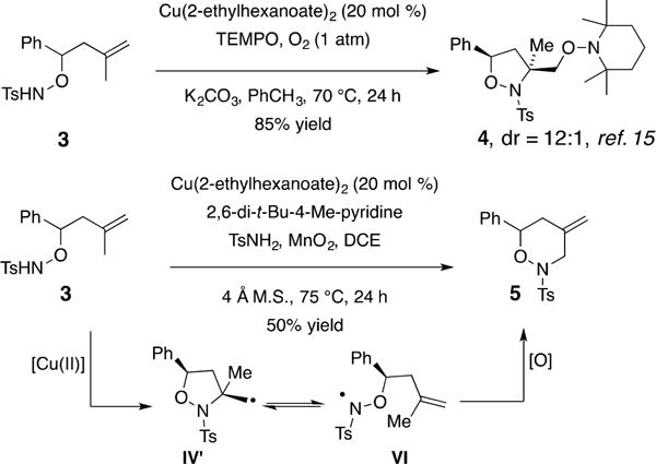 Scheme 2