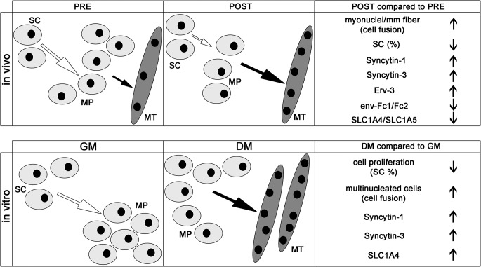 Fig 8