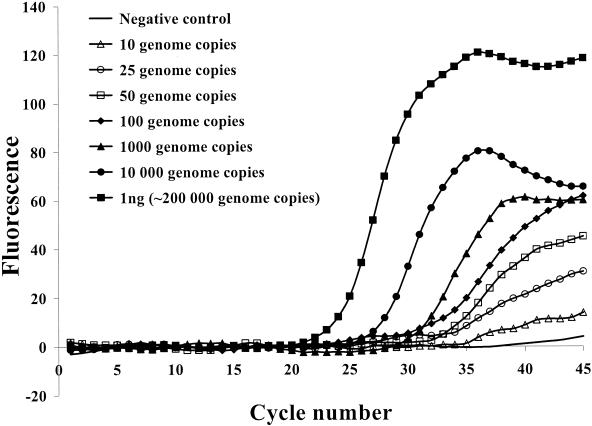 FIG. 1.