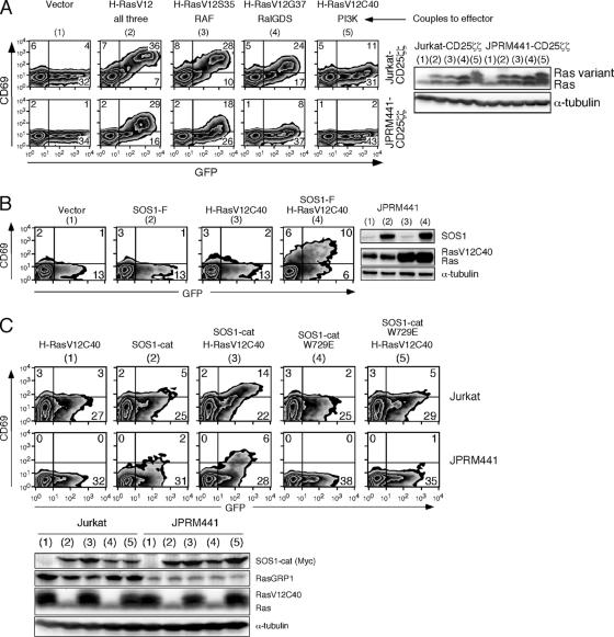 FIG. 8.