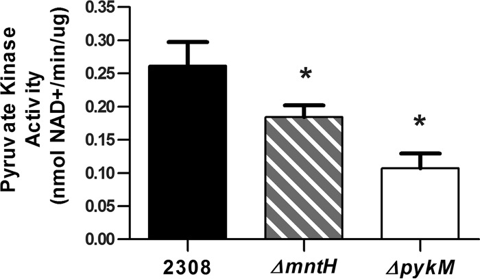 FIG 2