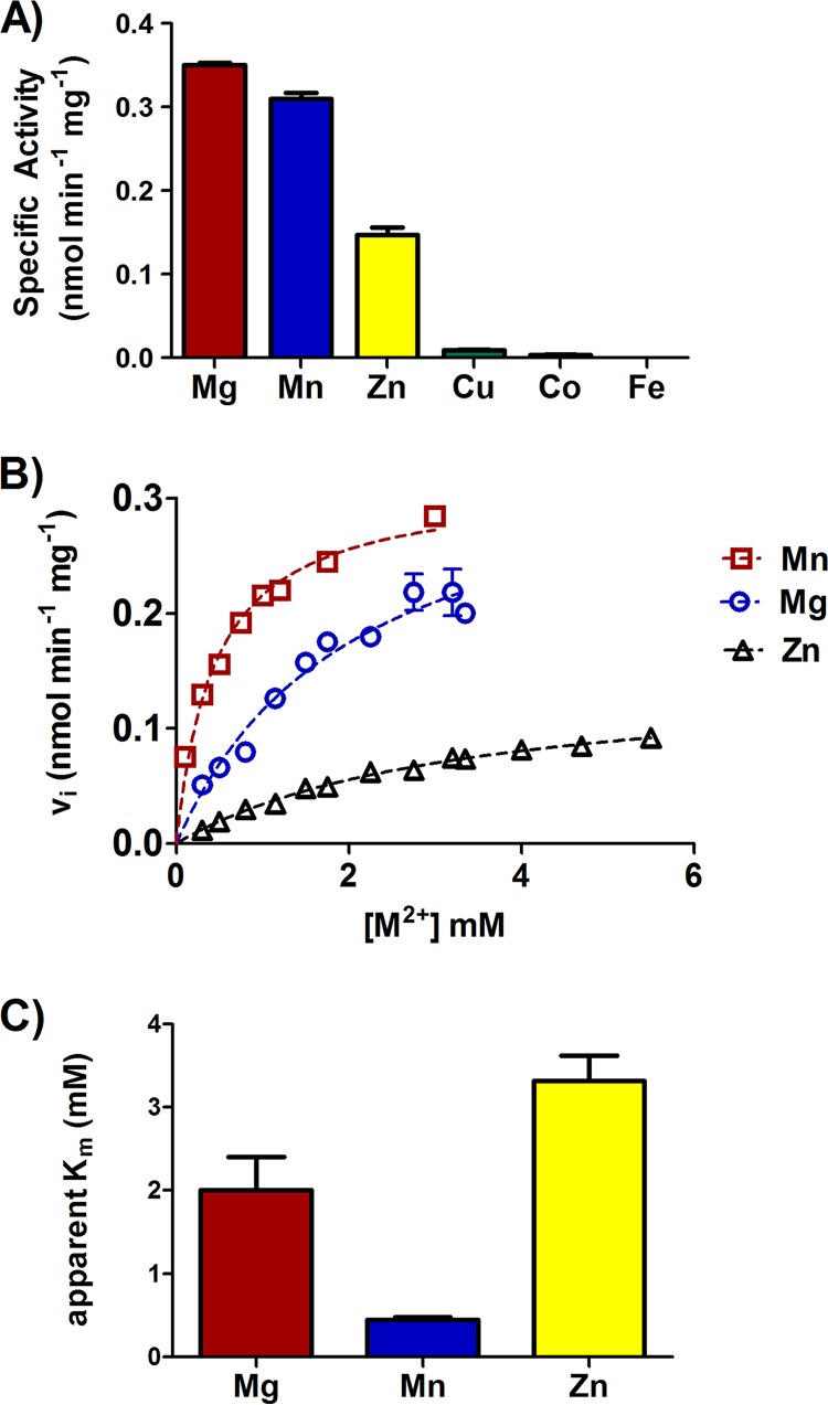 FIG 1