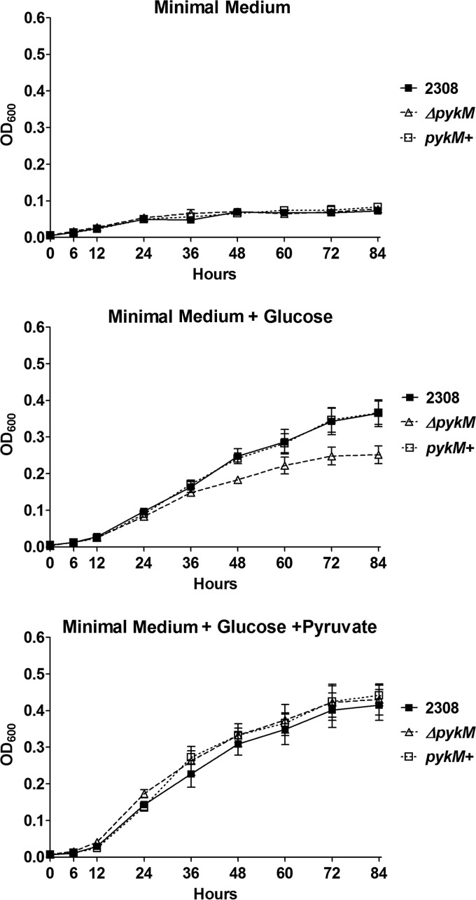 FIG 3