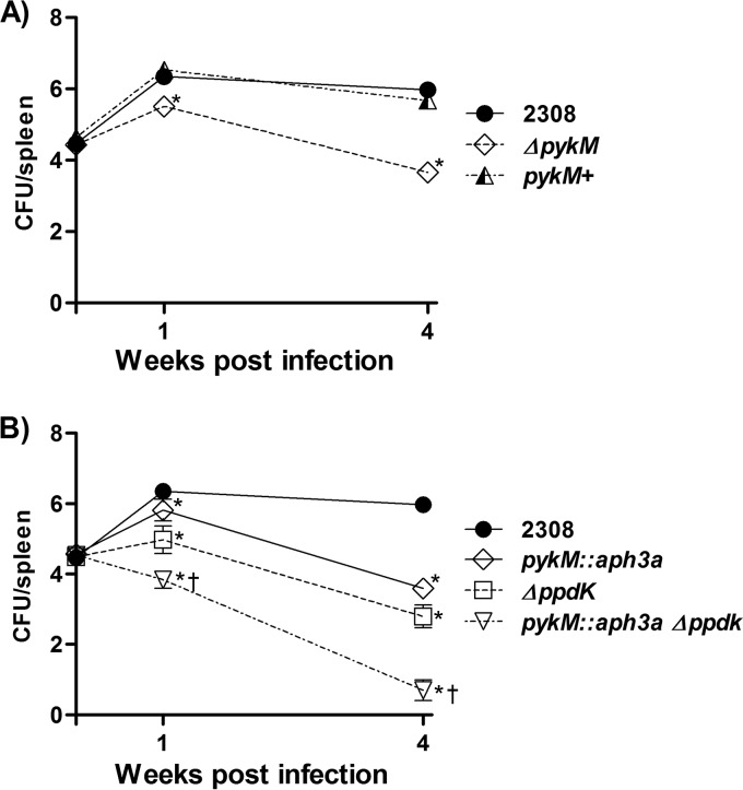 FIG 8