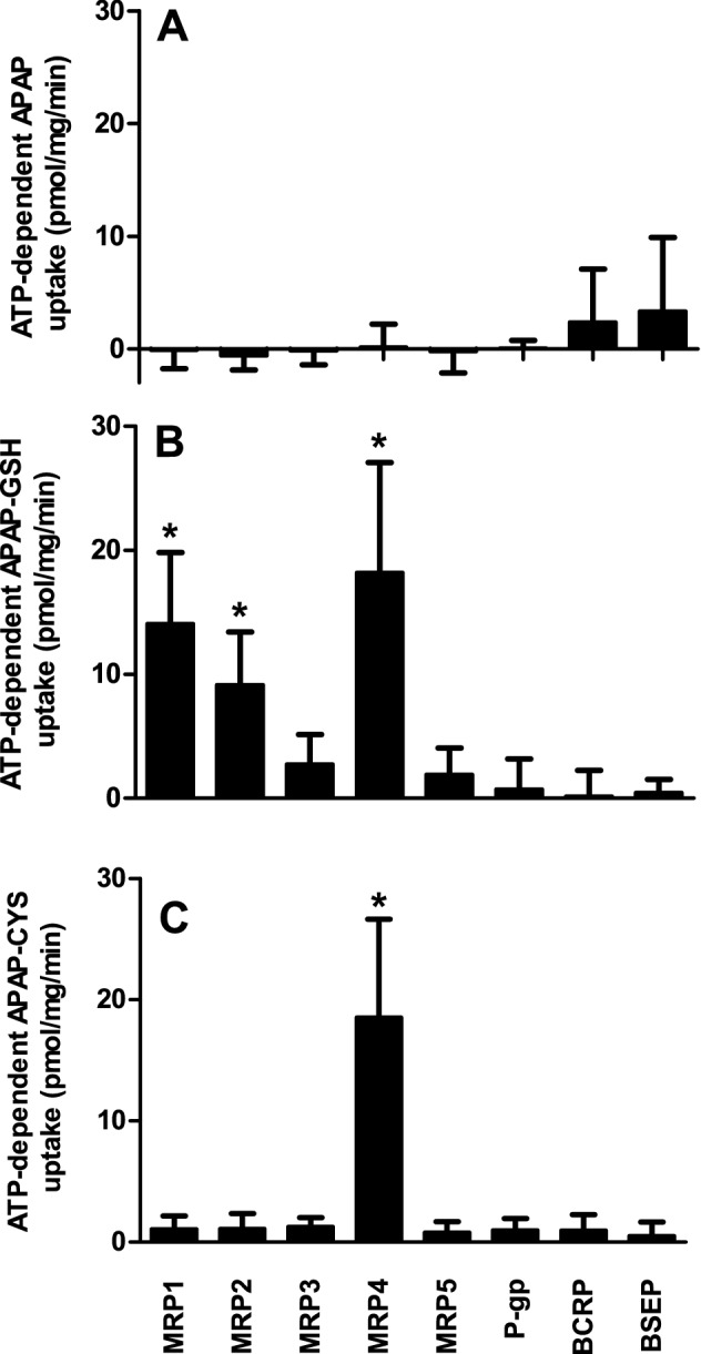 Fig. 1