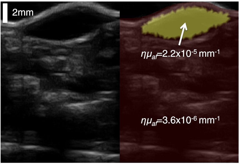 Fig. 7