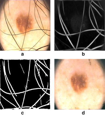 Fig. 7