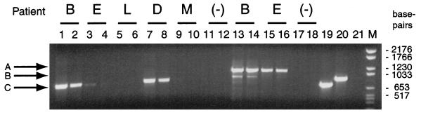 FIG. 1