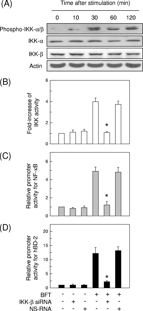 FIG. 8.