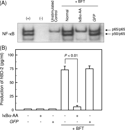 FIG. 5.