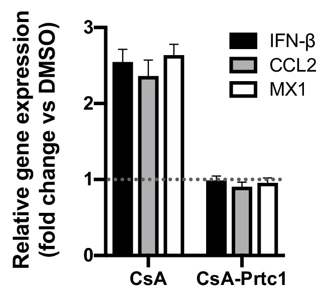 Figure 8—figure supplement 2.