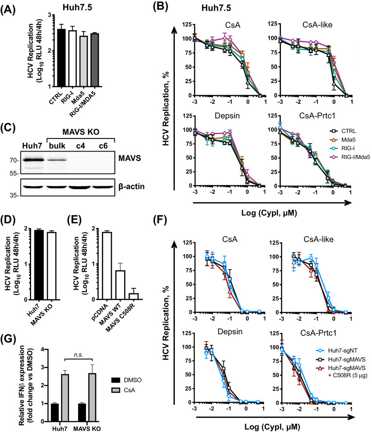 Figure 6.