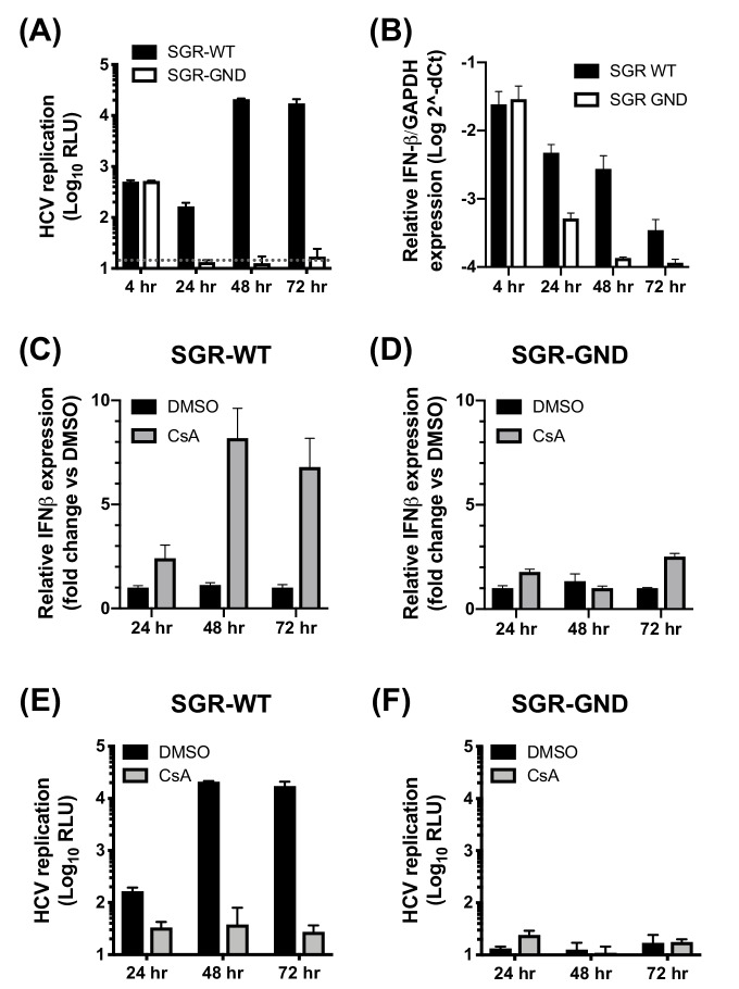 Figure 4—figure supplement 1.